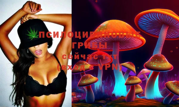 не бодяженный Бородино