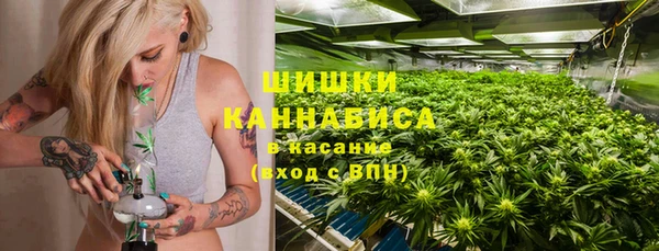 не бодяженный Бородино