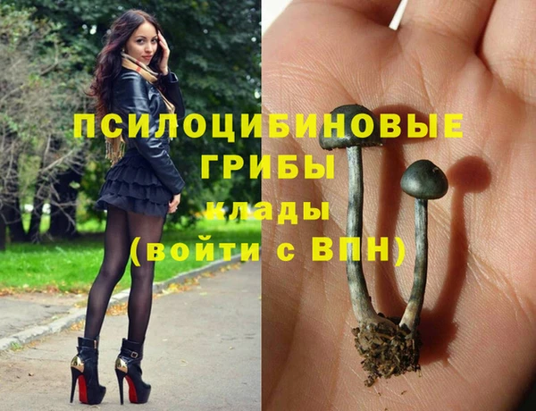 не бодяженный Бородино